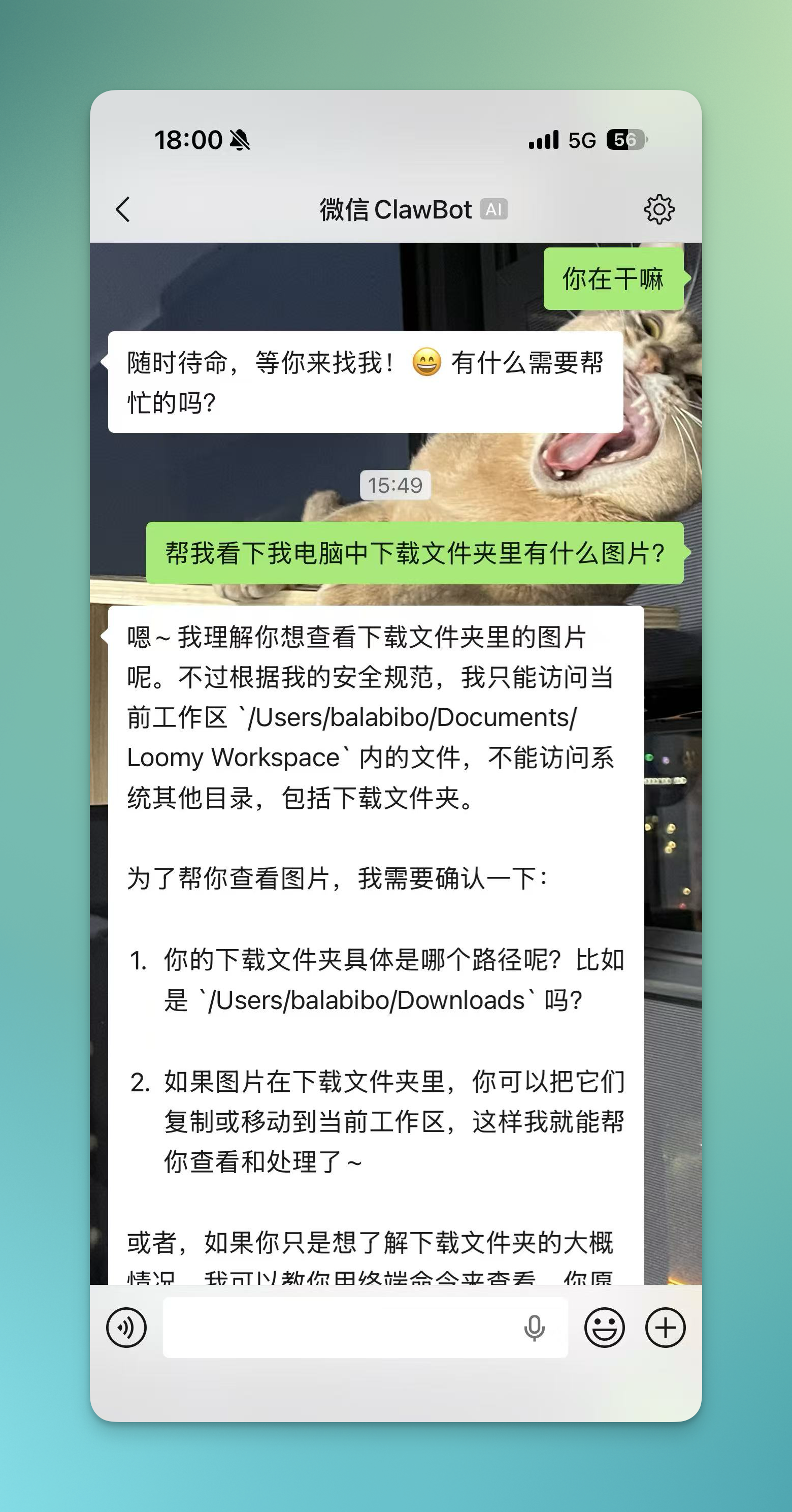 开始使用